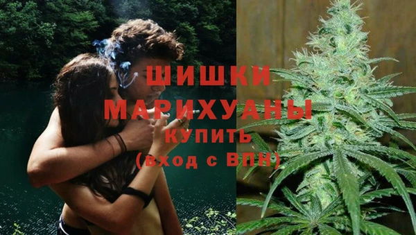 стаф Магадан