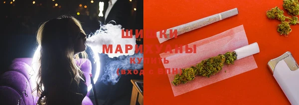 стаф Магадан