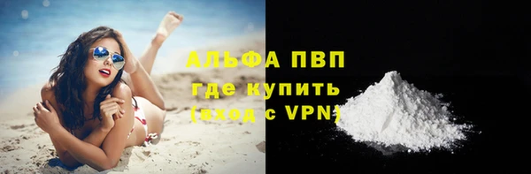 стаф Магадан