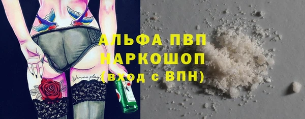стаф Магадан