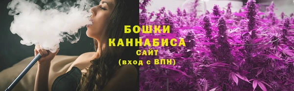 стаф Магадан