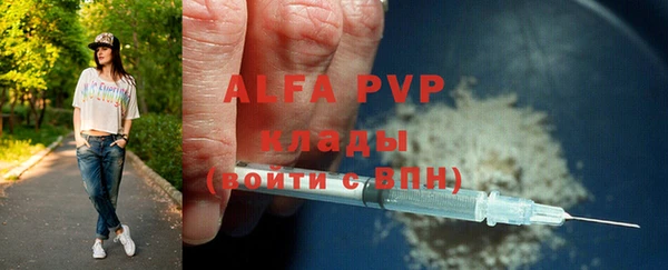 стаф Магадан