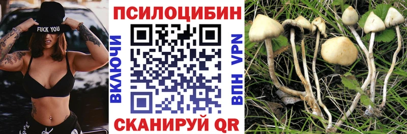 Псилоцибиновые грибы GOLDEN TEACHER  Купить закладки  Лобня 